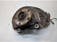 1K0407621F, 3C0407254F, 1K0615312F Ступица (кулак, цапфа) Volkswagen Passat 6 2005-2010 9435425 #1