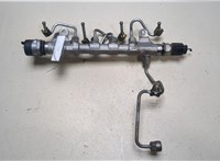  Рампа (рейка) топливная Volkswagen Passat CC 2012-2017 9435853 #1