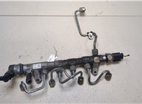  Рампа (рейка) топливная Volkswagen Passat CC 2012-2017 9435853 #2