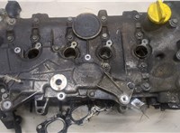  Головка блока (ГБЦ) Renault Clio 2005-2009 9438927 #1