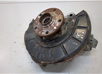 1K0615311F, 1K0407621F, 3C0407253F Ступица (кулак, цапфа) Volkswagen Passat 6 2005-2010 9440941 #1