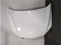 4819345, 95493908, 4820855, 95244395 Капот Opel Antara 9444799 #4