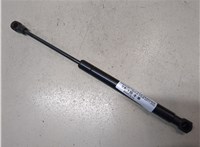 96861594 Амортизатор стекла багажника Chevrolet Captiva 2006-2011 9453616 #1