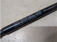 96861594 Амортизатор стекла багажника Chevrolet Captiva 2006-2011 9453616 #2