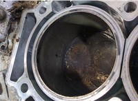 11000CG000 Блок цилиндров (Шорт блок) Nissan 350Z 2002-2009 9457642 #10