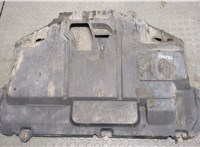  Защита моторного отсека (картера ДВС) Volkswagen Passat 6 2005-2010 9458789 #1