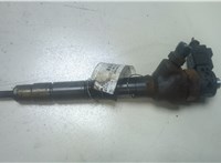 0445110647 Форсунка топливная Volkswagen Passat 7 2010-2015 Европа 9459899 #1