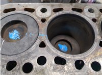  Блок цилиндров (Шорт блок) Ford Focus 2 2005-2008 9463005 #5