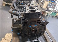  Блок цилиндров (Шорт блок) Ford Transit 2000-2006 9463245 #8