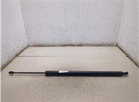 7H0827550 Амортизатор крышки багажника Ford Focus 1 1998-2004 9469532 #4