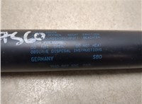 7H0827550 Амортизатор крышки багажника Ford Focus 1 1998-2004 9469532 #5