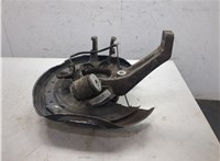 3D0498607, 3D0505436M, 3D0615612C Ступица (кулак, цапфа) Volkswagen Phaeton 2002-2010 9474194 #3