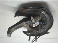 3D0498607, 3D0505436M, 3D0615612C Ступица (кулак, цапфа) Volkswagen Phaeton 2002-2010 9474194 #10