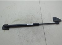 0258060750N Амортизатор крышки багажника Nissan Pathfinder 2004-2014 9484342 #4