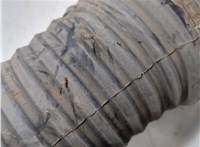 4F0616039G Амортизатор подвески Audi A6 (C6) Allroad 2006-2011 9487038 #7