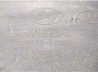  Защита моторного отсека (картера ДВС) Hyundai Matrix 9503751 #2