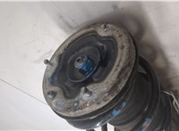 31336762977, 31316786538 Амортизатор подвески BMW 7 E65 2001-2008 9509785 #5