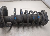 5535117600, S5535117600 Амортизатор подвески Hyundai Matrix 2001-2010 20000038 #10
