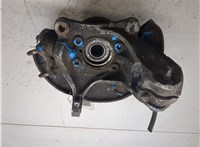 1K0615312F, 1K0407621F, 3C0407254F Ступица (кулак, цапфа) Volkswagen Passat 6 2005-2010 20001107 #2