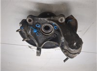 1K0615312F, 1K0407621F, 3C0407254F Ступица (кулак, цапфа) Volkswagen Passat 6 2005-2010 20001107 #6