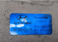  Радиатор интеркулера Hyundai Terracan 20001189 #4