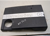  Накладка декоративная на ДВС Mercedes C W203 2000-2007 20001631 #1