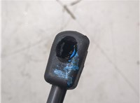 51237351356 Амортизатор капота Mini Clubman (F54) 2015- 20002549 #6