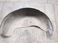  Защита арок (подкрылок) Renault Scenic 2003-2009 20006662 #1