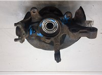 4350202020, 4321102051, 4321102041 Ступица (кулак, цапфа) Toyota Corolla E11 1997-2001 20007851 #4