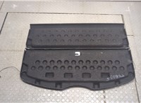 1Z5867769 Полка багажника Skoda Octavia (A5) 2004-2008 20008454 #1