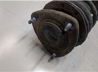  Амортизатор подвески Toyota Yaris 1999-2006 20008490 #2