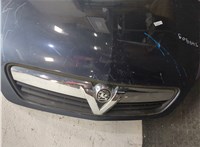 1160011, 13214330, 93186909 Капот Opel Meriva 2003-2010 20008915 #4