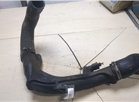  Патрубок интеркулера Volkswagen Passat 6 2005-2010 20013268 #1