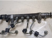  Рампа (рейка) топливная Volkswagen Passat 6 2005-2010 20013278 #4