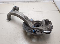 4E0407254Q Кулак поворотный Audi A8 (D3) 2005-2007 11212262 #6