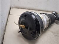 A2203202438 Амортизатор подвески Mercedes S W220 1998-2005 20014996 #6