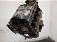  Блок цилиндров (Шорт блок) Ford Fiesta 2008-2013 20016016 #1