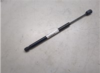 2L1Z78406A10BA, 2L1Z78406A11BA Амортизатор стекла багажника Ford Expedition 2002-2006 20024874 #3
