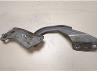  Петля капота Ford Focus 3 2011-2015 20025163 #1