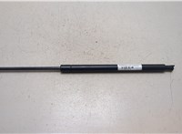 YL8Z7842105AA Амортизатор стекла багажника Ford Escape 2001-2006 20027276 #3