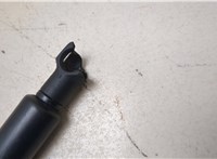 YL8Z7842105AA Амортизатор стекла багажника Ford Escape 2001-2006 20027276 #4