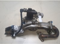  Клапан рециркуляции газов (EGR) Renault Scenic 2003-2009 20027769 #1