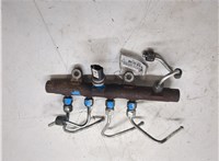 A2C20001221 Рампа (рейка) топливная Renault Scenic 2003-2009 20027779 #4