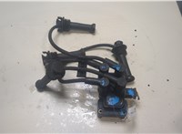  Катушка зажигания Ford Focus 2 2008-2011 20027976 #1