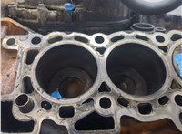 1316180 Блок цилиндров (Шорт блок) Land Rover Discovery 3 2004-2009 20028742 #12