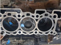 1316180 Блок цилиндров (Шорт блок) Land Rover Discovery 3 2004-2009 20028742 #13