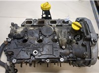  Головка блока (ГБЦ) Renault Scenic 2003-2009 20029141 #1