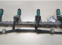  Форсунка топливная Toyota RAV 4 2000-2005 20030578 #1