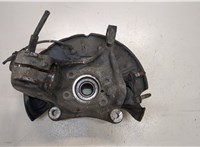 3C0407254F, 1K0407621F Ступица (кулак, цапфа) Volkswagen Passat 6 2005-2010 20031324 #2