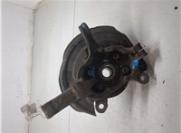 402021KA0A, 400141KK0A, 41151JD01A, 479101KA0A Ступица (кулак, цапфа) Nissan Juke 2010-2014 20031347 #5